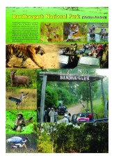 HEAVENLY INDIA 1 Jan to march cover page 2026_Page_14