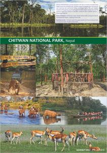 18-Chitwan-National-Park